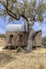 A series of three tiny homes in Portugal by Madeiguincho are designed with passive design strategies to minimize their potential impact on the environment.