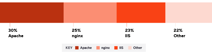 distribution-of-web-servers-in-acunetix-scan-data-2020